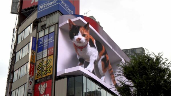The creative potential of 3D billboards