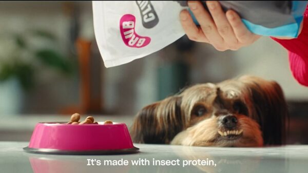 Image from Grub Club advert of dog being fed pet food made with insect protein. The advert won Sky Media's Zero Footprint award.