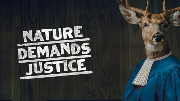 A deer facing viewer dons ICC robes, next to it is a slogan reading "Nature demands Justice".St Luke's has launched an anthropomorphic social campaign to raise awareness of ecocide, and demand that the act gets added to the ICC's (International Criminal Court) list of crimes.